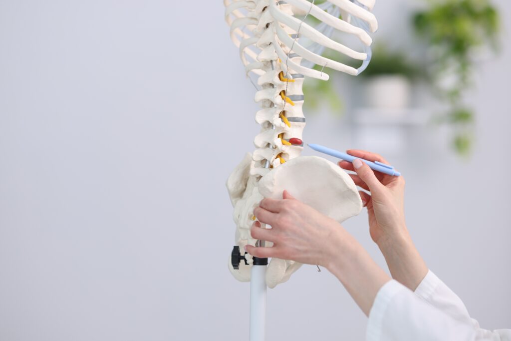 Doctor pointing to a human spine model in clinic, explaining the nerve connection to digestive wellness at Mast Health in Tampa