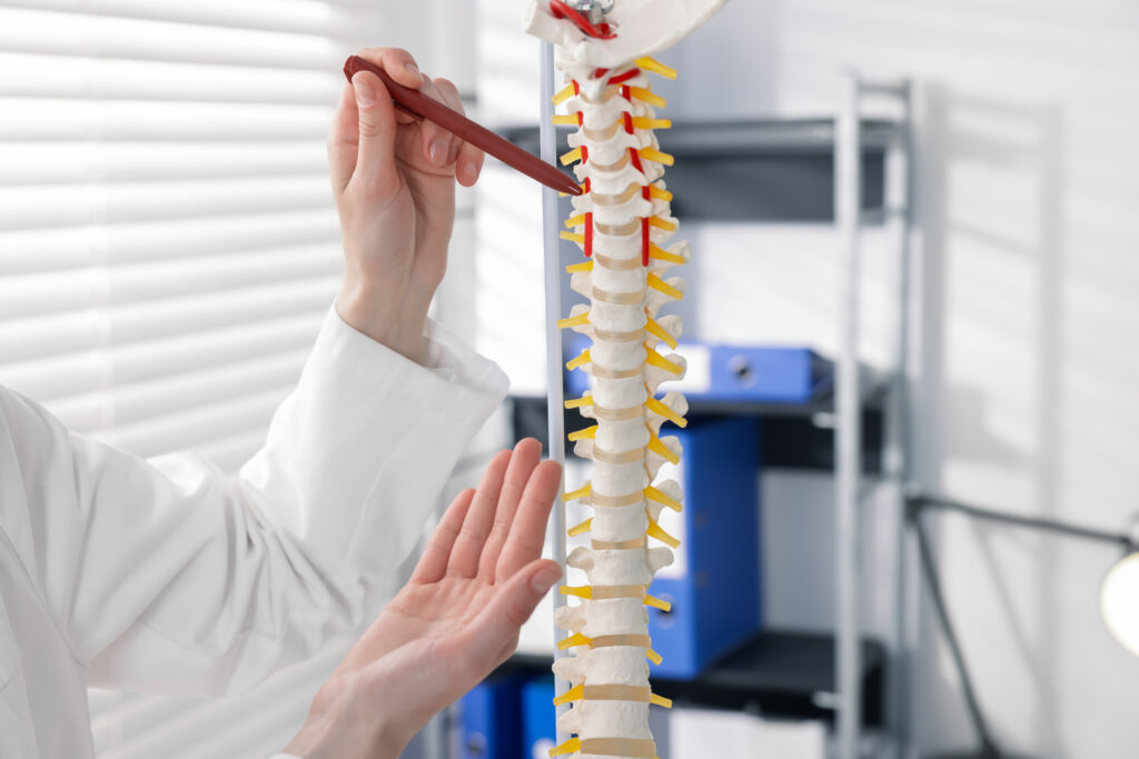 Doctor pointing to a section of a spine model while explaining disc anatomy, herniated disc evaluation Mast Health provides in Tampa